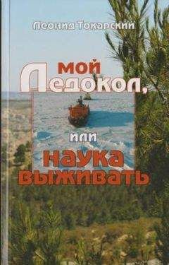 Михаэль Бабель - Пререкания с кэгэбэ. Книга вторая