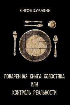 Иосиф Гольман - Защитница. Тринадцатое дело
