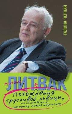 Георгий Огарёв - 33 закона успеха