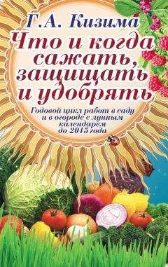 Галина Кизима - Сад и огород: все делаем вовремя. Сеем, удобряем, собираем