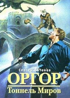 Антон Орлов - Крысиный Вор