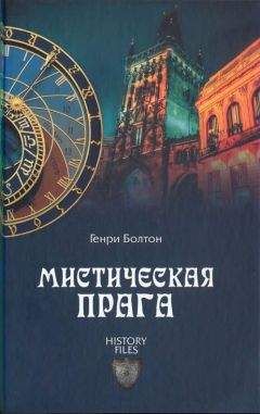 С Волгин - Вивельгар. Тайная книга магов