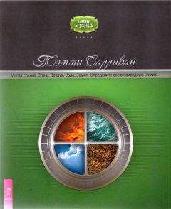 Тэмми Салливан - Магия стихий. Огонь, Воздух, Вода, Земля. Определите свою природ ную стихию