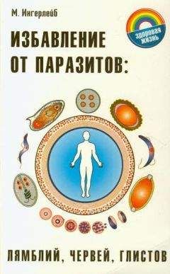 Алексей Быков - Избавься от паразитов. Большая книга очищения