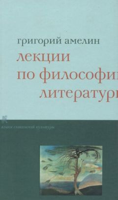 Григорий Амелин - Лекции по философии литературы