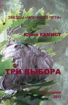 Юрий Кемист - Три выбора