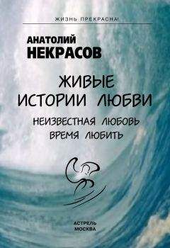 Артем Толоконин - Секреты успешных семей. Взгляд семейного психолога