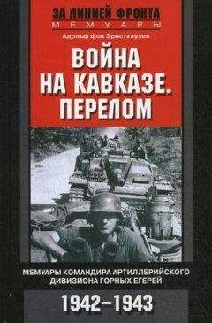 Даниил Фибих - Фронтовые дневники 1942–1943 гг