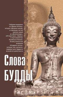 Тулку Тхондуп - Ум Будды. Антология текстов Лонгчемпы по Дзота Ченпо.