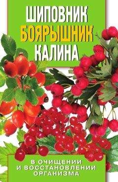 Ольга Романова - Шиповник, боярышник, калина. Очищение и восстановление организма