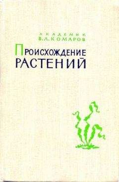 Андрей Куприянов - Арабески ботаники