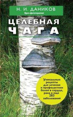 Нина Башкирцева - Березовый и чайный гриб