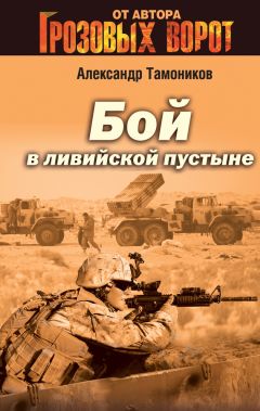 Александр Тамоников - Он, она и патроны