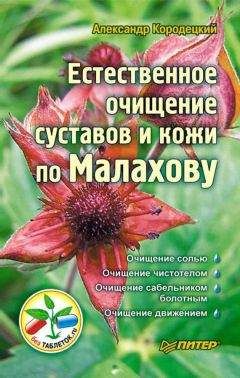 Александр Кородецкий - Естественное очищение сосудов и крови по Малахову