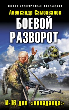 Александр Самохвалов - Боевой разворот. И-16 для «попаданца»