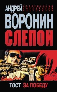 Андрей Воронин - Двойной удар Слепого