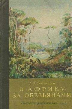 Дмитрий Горюнов - Возвращение в Африку