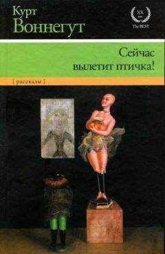 Курт Воннегут - Рецидивист (Тюремная пташка)