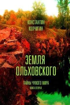 Леонид Андронов - Принц из ниоткуда. Книга 2