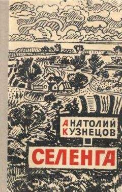 Борис Четвериков - Котовский. Книга 2. Эстафета жизни