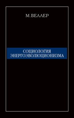 Рашид Мухаев - Социология. Конспект лекций. Учебное пособие