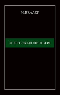 Альфред Шлиффен - Германская военная мысль