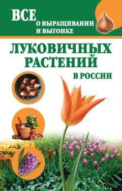 Юлия Белочкина - Лианы