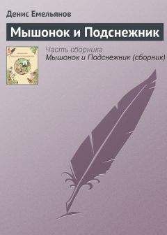 Юдит Берг - Приключения озорного мышонка