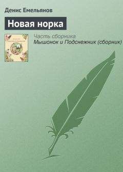 Денис Емельянов - Полосатый захватчик