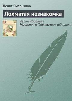 Дик Кинг-Смит - Мышонок по имени Вольф