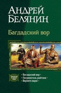 Андрей Белянин - Багдадский вор