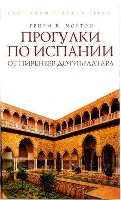 Нелли Шульман - Вельяминовы – Время Бури. Книга первая