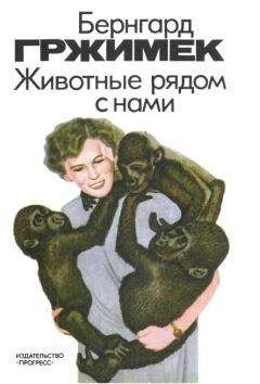 Валентин Михайлов - Морская свинка