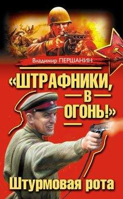 Сергей Михеенков - Встречный бой штрафников