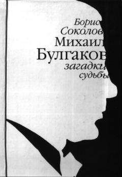 Борис Романов - Вестник, или Жизнь Даниила Андеева: биографическая повесть в двенадцати частях