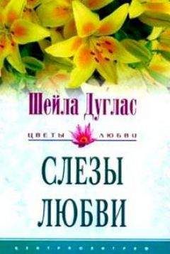 Энн Мэйджер - Рождество в городе влюбленных