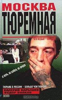 Джей Стивенс - Штурмуя небеса