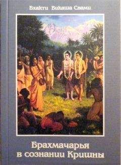 Радханатха Свами  - Кришна-лила
