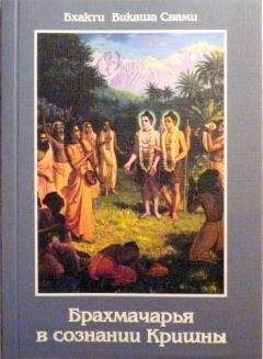 Свами Бхактиведанта А.Ч. - Шримад Бхагаватам. Песнь 3. Статус кво. Часть 2