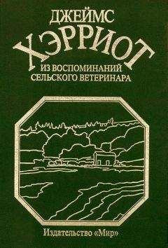 Джон МакКормак - Айболит из Алабамы. Героические будни сельского ветеринара