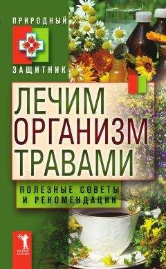 Ольга Климова - Живица Земная. Советы и рецепты от известного травника