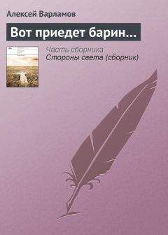 Джон Шемякин - Дикий барин (сборник)