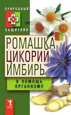 Николай Даников - Целебный имбирь