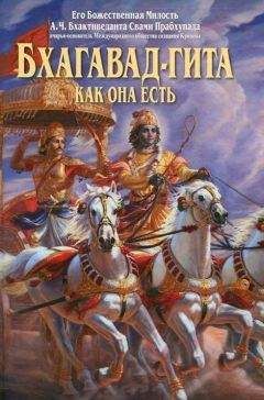 Александр Белый - Тайная Доктрина дней Апокалипсиса. Книга 1. Выбор