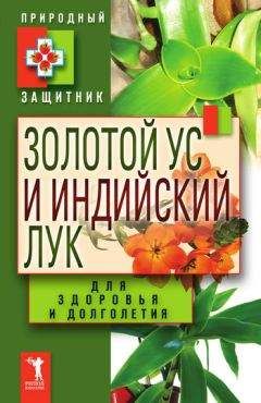 Дарья Нестерова - Золотой ус. Лучшие рецепты исцеления