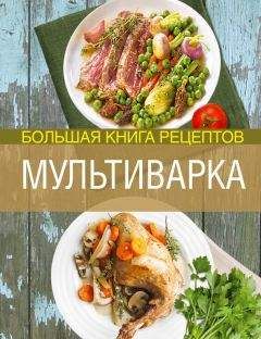 Элга Боровская - Мультиварка. Большая книга рецептов