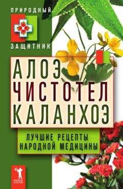 А. Подоляк - Травник. Описание 300 лекарственных растений и способы их применения от 100 самых распространенных заболеваний