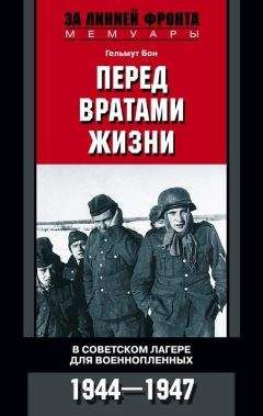 Винценц Мюллер - Я нашел подлинную родину. Записки немецкого генерала