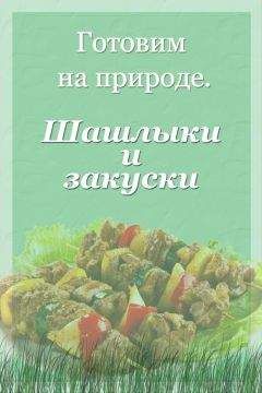 Илья Мельников - Готовим на природе