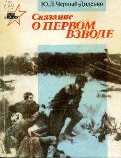 Юрий Черный-Диденко - Ключи от дворца